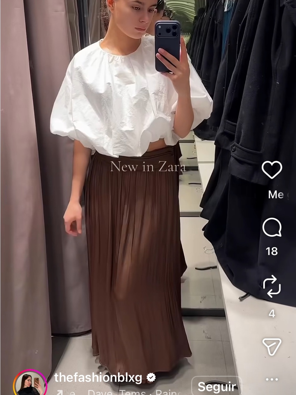 Zara Brown Pleated Maxi Skirt